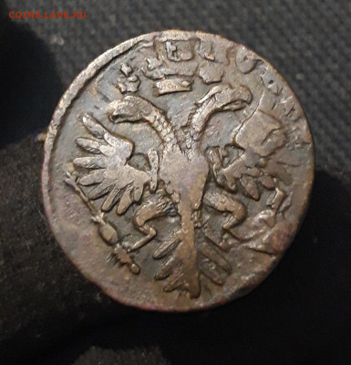 Анна Иоанновна Денга 1731 Перечекан из Копейки Петра До07.03 - 20260129_171011