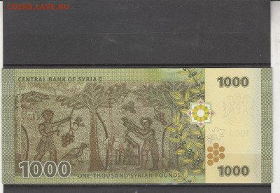 Сирия 1000 фунтов 2013 г. до 02.03. в 22.00 - IMG_20260301_0088