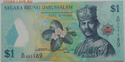 Султанат Бруней 1 доллар 2019 г.(Полимер)С рубля! до 06.03. - DSCN2023.JPG