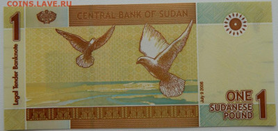 Судан 1 фунт 2006 г. С рубля! до 07.03.26 - DSCN1897.JPG