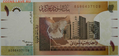 Судан 1 фунт 2006 г. С рубля! до 07.03.26 - DSCN1898.JPG