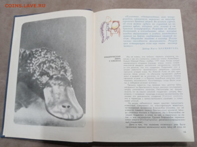 Мир животных до 07.03.26 в 22:00 по мск - IMG_20260302_001659