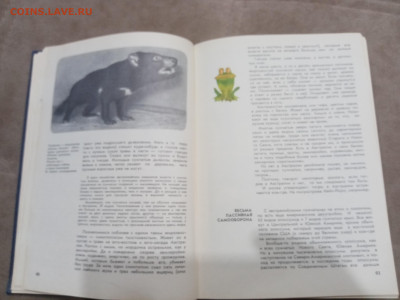 Мир животных до 07.03.26 в 22:00 по мск - IMG_20260302_001636