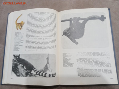 Мир животных до 07.03.26 в 22:00 по мск - IMG_20260302_001615