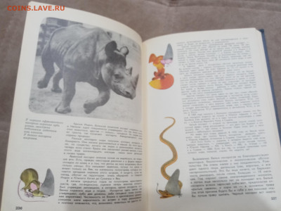 Мир животных до 07.03.26 в 22:00 по мск - IMG_20260302_001543