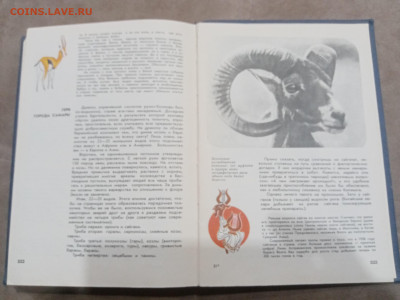 Мир животных до 07.03.26 в 22:00 по мск - IMG_20260302_001520