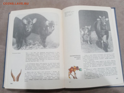 Мир животных до 07.03.26 в 22:00 по мск - IMG_20260302_001515