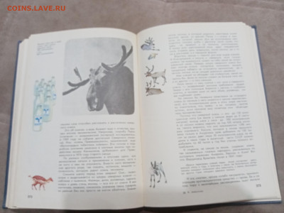 Мир животных до 07.03.26 в 22:00 по мск - IMG_20260302_001510