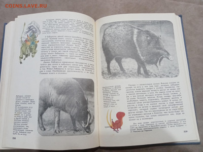 Мир животных до 07.03.26 в 22:00 по мск - IMG_20260302_001504