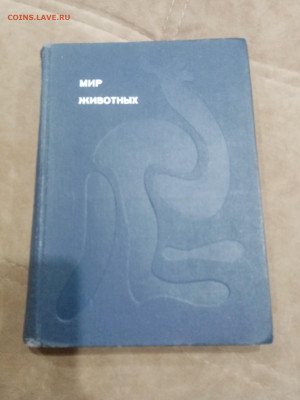 Мир животных до 07.03.26 в 22:00 по мск - IMG_20260302_001310