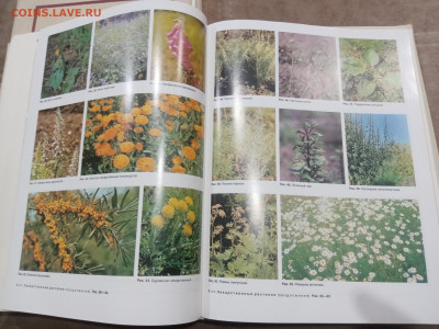 Краткая медицинская энциклопедия в 3х томах до 07.03.26 в 22 - IMG_20260302_021943