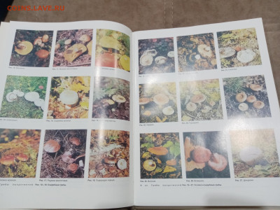 Краткая медицинская энциклопедия в 3х томах до 07.03.26 в 22 - IMG_20260302_021845