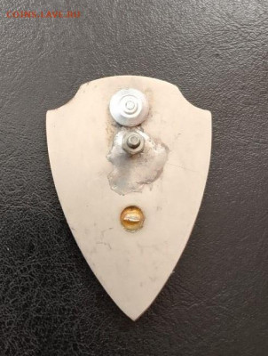 Знак 55 БВВАУЛ им. Чкалова Борисоглебск оценка - image (3)~2