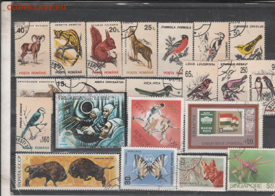 Тематические марки 2 . до 02.03. в 22.00 . - IMG_20260302_0002