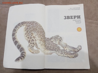 Звери красной книги до 08.03.26 в 22:00 по мск - IMG_20260302_234708