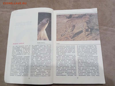 Звери красной книги до 08.03.26 в 22:00 по мск - IMG_20260302_234658