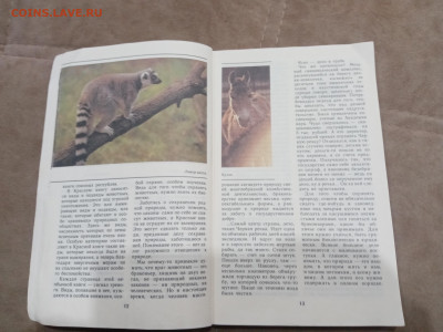 Звери красной книги до 08.03.26 в 22:00 по мск - IMG_20260302_234648