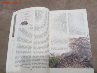 Звери красной книги до 08.03.26 в 22:00 по мск - IMG_20260302_234628