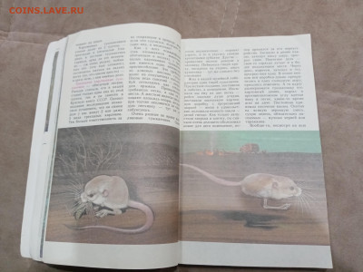 Звери красной книги до 08.03.26 в 22:00 по мск - IMG_20260302_234618