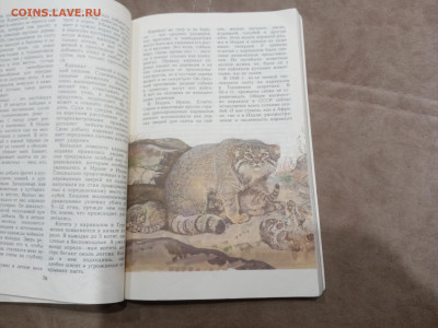 Звери красной книги до 08.03.26 в 22:00 по мск - IMG_20260302_234608