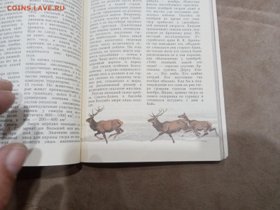 Звери красной книги до 08.03.26 в 22:00 по мск - IMG_20260302_234548