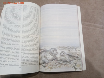 Звери красной книги до 08.03.26 в 22:00 по мск - IMG_20260302_234538