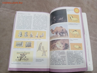 Звери красной книги до 08.03.26 в 22:00 по мск - IMG_20260302_234459