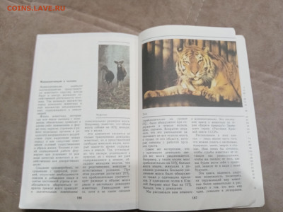 Звери красной книги до 08.03.26 в 22:00 по мск - IMG_20260302_234441