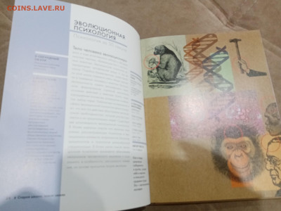 Психология за 30 секунд очень интересная до 08.03.26 в 22:00 - IMG_20260303_011244