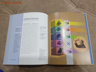 Психология за 30 секунд очень интересная до 08.03.26 в 22:00 - IMG_20260303_011102