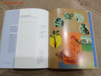 Психология за 30 секунд очень интересная до 08.03.26 в 22:00 - IMG_20260303_011042