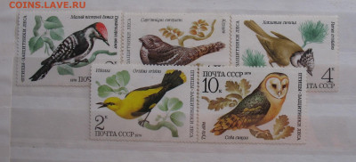 СССР 1979 птицы до 09.03.26г. 22.00ч. - птицы.JPG