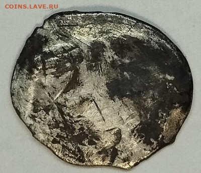 Коломенский надчекан, до 05.03.26г. - IMG_20260301_203856