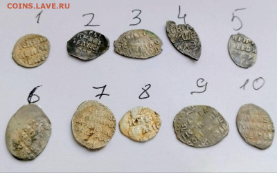 Чешуя на определение и на оценку. - photo_2026-03-03_16-59-55