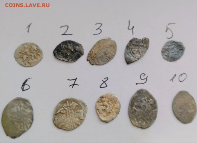 Чешуя на определение и на оценку. - photo_2026-03-03_17-00-06