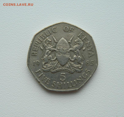 Кения 5 шиллингов 1985 г. (Крупная!) С рубля! до 09.03.26 - DSCN1667.JPG