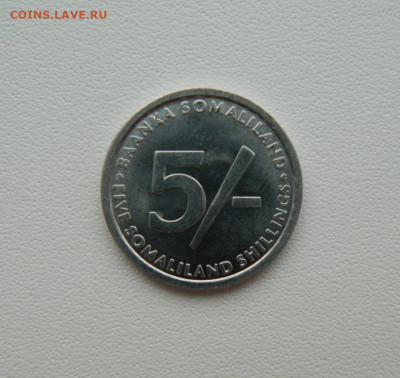 Сомалиленд 5 шиллингов 2005 г. (Фауна) С рубля!  до 09.03.26 - DSCN1419.JPG