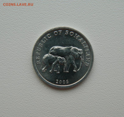 Сомалиленд 5 шиллингов 2005 г. (Фауна) С рубля!  до 09.03.26 - DSCN1420.JPG