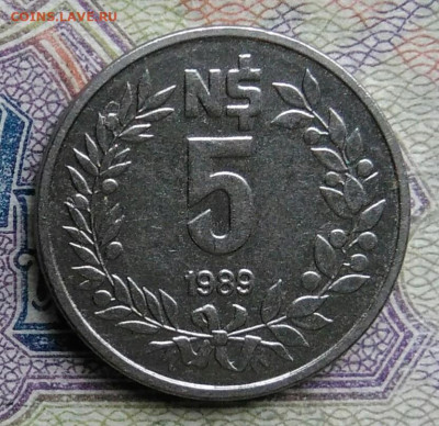 Уругвай 5 песо 1989 года до 09.03.2026 - IMG_20260303_175820