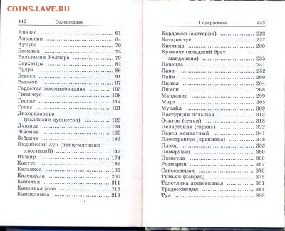 "Божья аптека на подоконнике" - божья аптека на подконнике 3