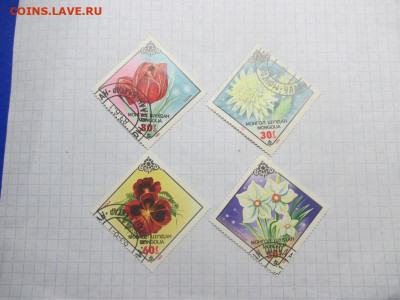 4 марки Монголия 1983 года . Флора - IMG_0541.JPG