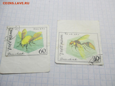 2 марки Вьетнам 1982 года . БЗ. - IMG_0547.JPG