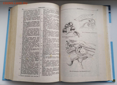 Карманный атлас анатомии человека до 10.03.26. 22-00 Мск - 7