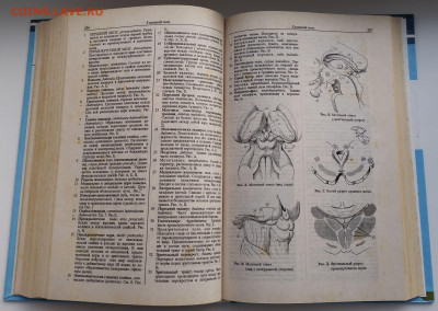 Карманный атлас анатомии человека до 10.03.26. 22-00 Мск - 6