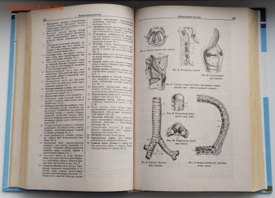 Карманный атлас анатомии человека до 10.03.26. 22-00 Мск - 5