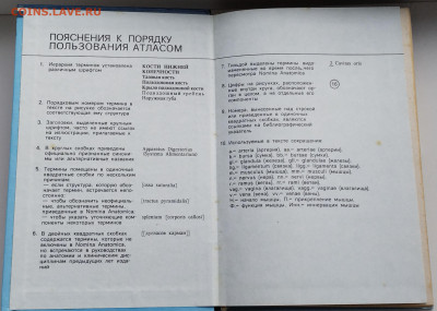 Карманный атлас анатомии человека до 10.03.26. 22-00 Мск - 2