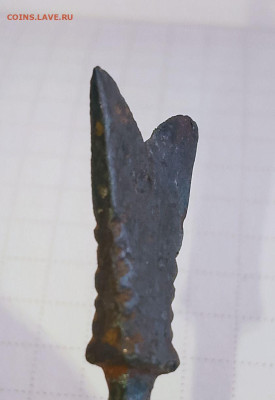 Наконечник срезень с насечками до 08.03.2026 в 22:00 МСК - IMG_20260302_143054_914~2