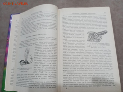 Зоологические экскурсии до 10.03.26 в 22:00 по мск - IMG_20260304_235439