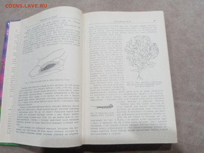 Зоологические экскурсии до 10.03.26 в 22:00 по мск - IMG_20260304_235429