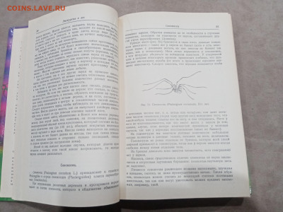 Зоологические экскурсии до 10.03.26 в 22:00 по мск - IMG_20260304_235418